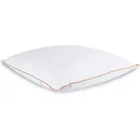 Borg Living Huvudkudde med myskdun - 60x63 cm - Mellankudde - Årspuden 2025 - 3 kammare -