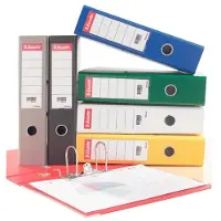 Esselte - 30 x 158 mm - 250 g/m² - 100 stk ryggetiketter