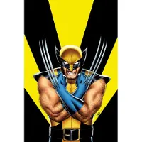 Return Of Wolverine Omnibus
