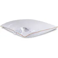 Borg Living Myskdun huvudkudde - mellan - 60x63 cm - 3 kammare huvudkudde - - Dream