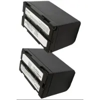 Cameron Sino Batteri till Kamera för Panasonic NV-DX100