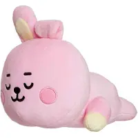 Herma Line Friends BT21 - Plyschkudde 28 cm COOKY Baby