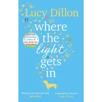 Where the Light Gets In