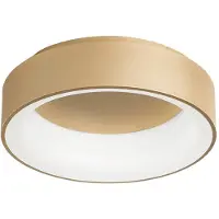 LUCE Design LED taklampa Noah, Mässing / guld, Vardagsrum / matsal, Aluminium / grå / zink, Modern, LED-taklampa