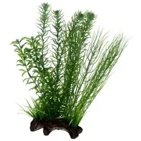 Hobby Flora Root 2 L 30cm 30cm