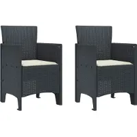 vidaXL Trädgård Stol 2 pcs Antracit 53 x 49 x 85 cm PP