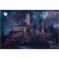 PAN Vision Danmark A/S Hogwarts skolaffisch
