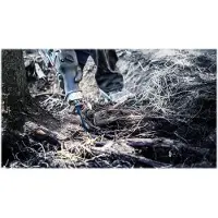 Bosch 2608900404 Tigersågsblad Sågblad, längd 225 mm 3 st