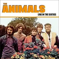 Ginza.se Animals: Live in the Sixties