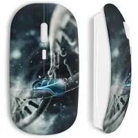 CAPACHEAP Souris Sans Fil Adn Bionic