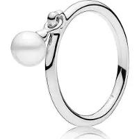 Allbestart 925 Sterling Silver Ring Rose Love Lock Hjärta Ringar För Kvinnor Bröllopsfest smycken 9
