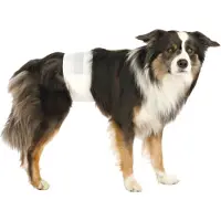 Trixie blöjor för hanhundar L-XL: 60-80 cm 12 st.