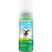Tropiclean Fresh Breath Foam tandrengöring hund