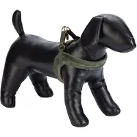 Designed By Lotte Velura Hundsele