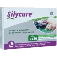 Fendigo Silycure 40 mg kosttillskott för katt och små hundar