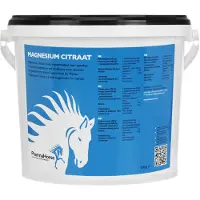 Pharmahorse Chuckit - Breathe Right Fetch Stick - L - 30cm