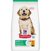 Hills Science Plan Puppy Large Breed Kyckling 14,5 kg