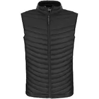 Craghoppers Unisex Expert Expolite Thermal Body Warmer för vuxna (svart)