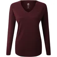 Dare 2b Kvinnor/Damer Discern långärmad T-shirt med lång ärm (Fig)