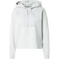 Pieces Sweatshirt 'PCCHILLI' ljusgrå