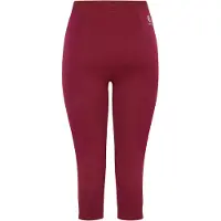 Dare 2b Dam/Ladies In The Zone II Panel 3/4 Leggings (Fig)