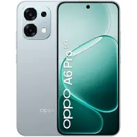 OPPO A6 Pro 5G, 16,7 cm (6.57), 8 GB, 256 GB, 50 MP, Android 15, Titan