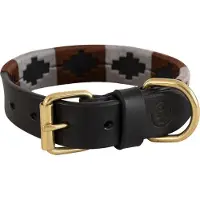 Br Hundhalsband