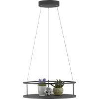 Paul Neuhaus Pendellampa Conni, dimbar, Svart, Vardagsrum / matsal, Metall, Modern