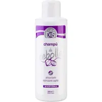 Valquer antioxidant schampo Valquer Lök (1000 ml)