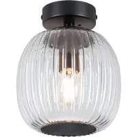Paulmann 71145 Ruya Takbelysning E14 Glas, Svart (matt)