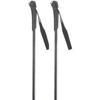 Rossignol Ft-501 Juniorstavar