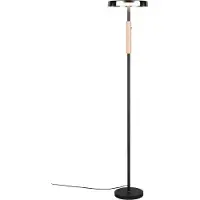 TRIO Lighting LED golvlampa Celeste, dimbar, Svart, Vardagsrum / matsal, Metall, Modern, LED-golvlampa