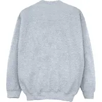 Disney Girls The Lion King Group Sweatshirt (Sports Grey)
