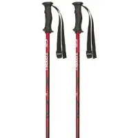 Masters Rental Carbon Stavar