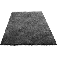 Vevor inomhusmattor i plysch, 1,52 x 2,44 m mjuk plyschmatta, lurviga shag-mattor för vardagsrum, sovrum, solrum, modern heminredning, fäller inte, non-woven, halkfri, mörkgrå