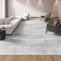 Vevor Matta, 3 x 4,5 m stor tvättbar matta, halkfri och rivtålig mjuk heltäckningsmatta, husdjurs- och barnvänliga moderna mattor, inomhusmatta för sovrum, kontor, vardagsrum, barnrum, entré, grå