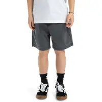 Quiksilver Taxer Shorts