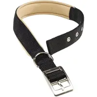Ferplast Daytona C20/43 - hundhalsband, svart