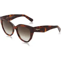 Ferragamo Sf1061s-240 Solglasögon För Kvinnor