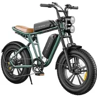 ENGWE M20 2*13Ah Batteries 20*4.0 Pouces Pneus 750W Moteur Brushless 45km/h Vitesse Max Freins à Disque Avant et Arrière grön