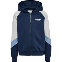 Hummel Loose Blocked Sweatshirt Med Dragkedja
