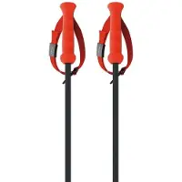Fischer Rd 13 Carbon Stavar
