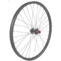 Gtr Sl30 Boost 29´´ Ratchet Disc Tubeless Mtb Bakhjul