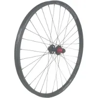 Gtr Sl30 29´´ Cl Ratchet Disc Tubeless Mtb Bakhjul