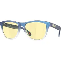 Oakley Frogskins Solglasögon
