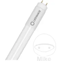 Ledvance LED-rör-Rörform EEK: D (A - G) T8 / G13 T8 7.5 W Dagsljusvitt (Ø x L) 27.80 mm x 603.00 mm 1 st