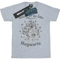 Harry Potter Mens Hogwarts Waiting For My Letter T-shirt (Sport Grå)