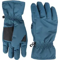 Mountain Warehouse Skidhandskar för damer/damer (Mörk kungsfisk)