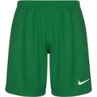 Nike Dri-fit League 3 Dr0960 Shorts