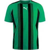 Puma Matchtröja teamLIGA - Grön/Svart/White, storlek XX-Large
